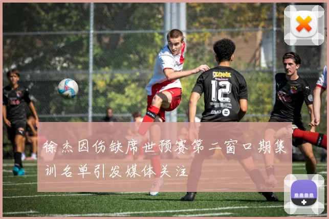 徐杰因伤缺席世预赛第二窗口期集训名单引发媒体关注