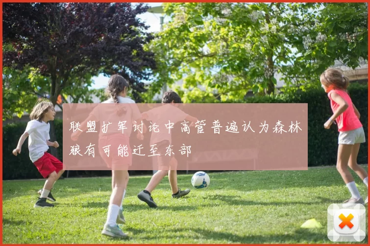 联盟扩军讨论中高管普遍认为森林狼有可能迁至东部