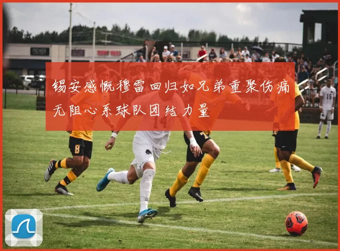 锡安感慨穆雷回归如兄弟重聚伤痛无阻心系球队团结力量